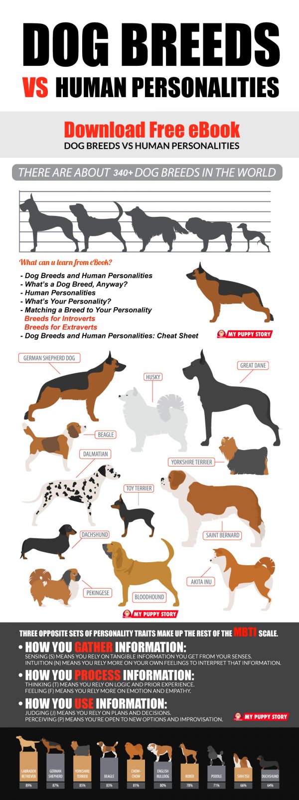 Characteristics About Humans That Dogs Dislike
